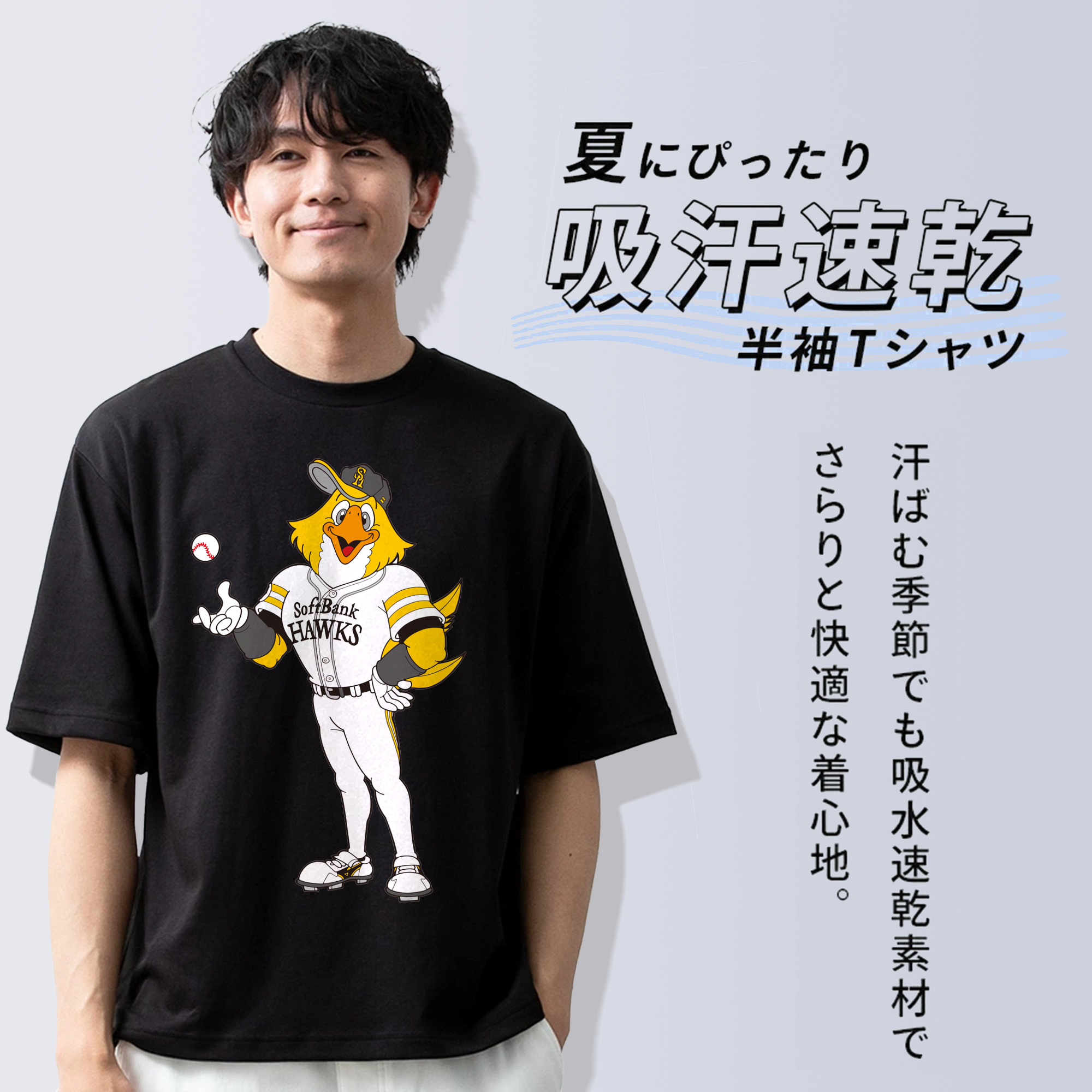 FUKUOKA SOFTBANK HAWKS MASCOT HARRY HAWK BALL TRAINING APPLICATION Logo