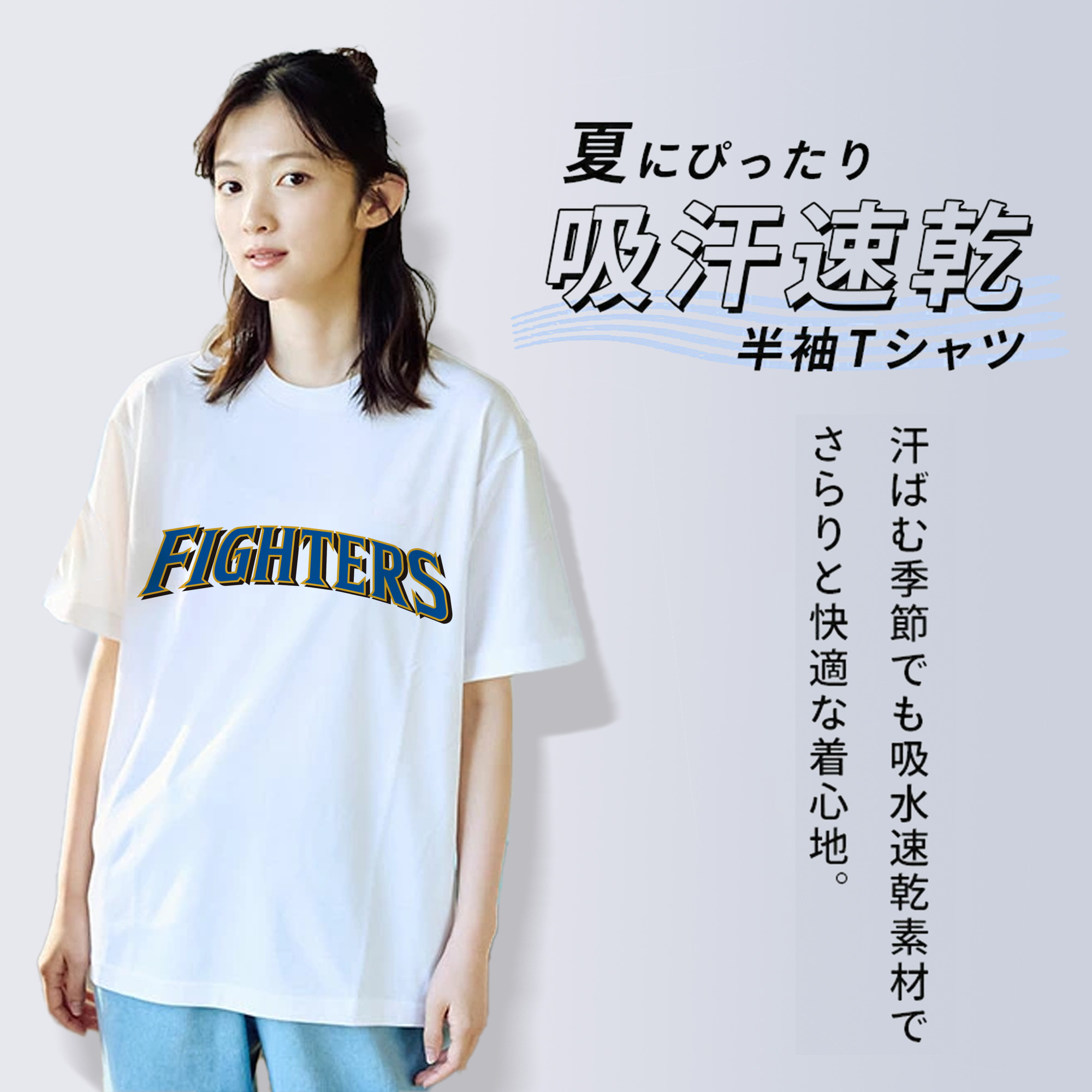 HOKKAIDO NIPPON-HAM FIGHTERS WORDMARK 2004 2010 Logo