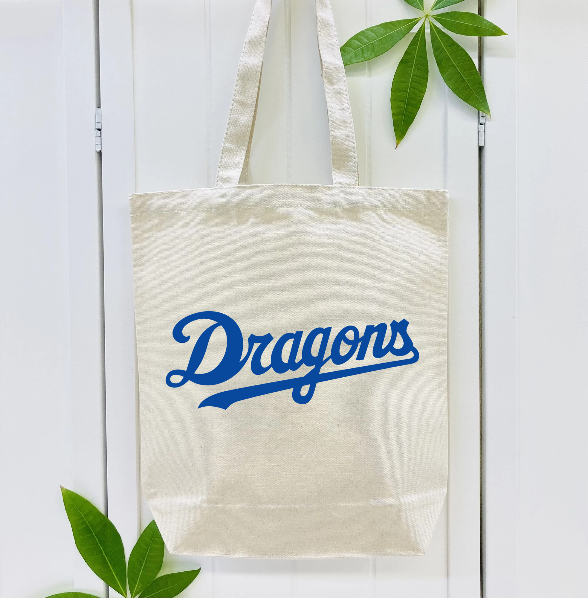 CHUNICHI DRAGONS OLD WORDMARK 2012 2013 Logo