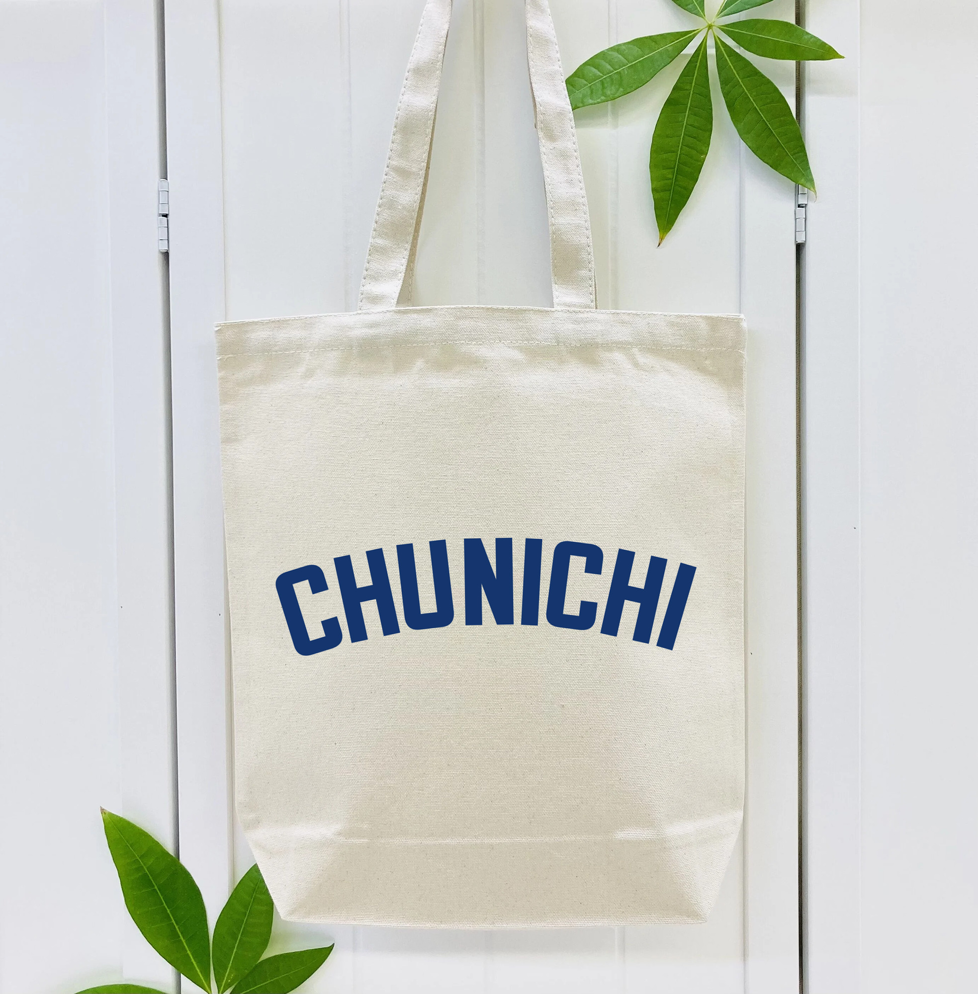 CHUNICHI DRAGONS CHUNICHI WORDMARK Logo