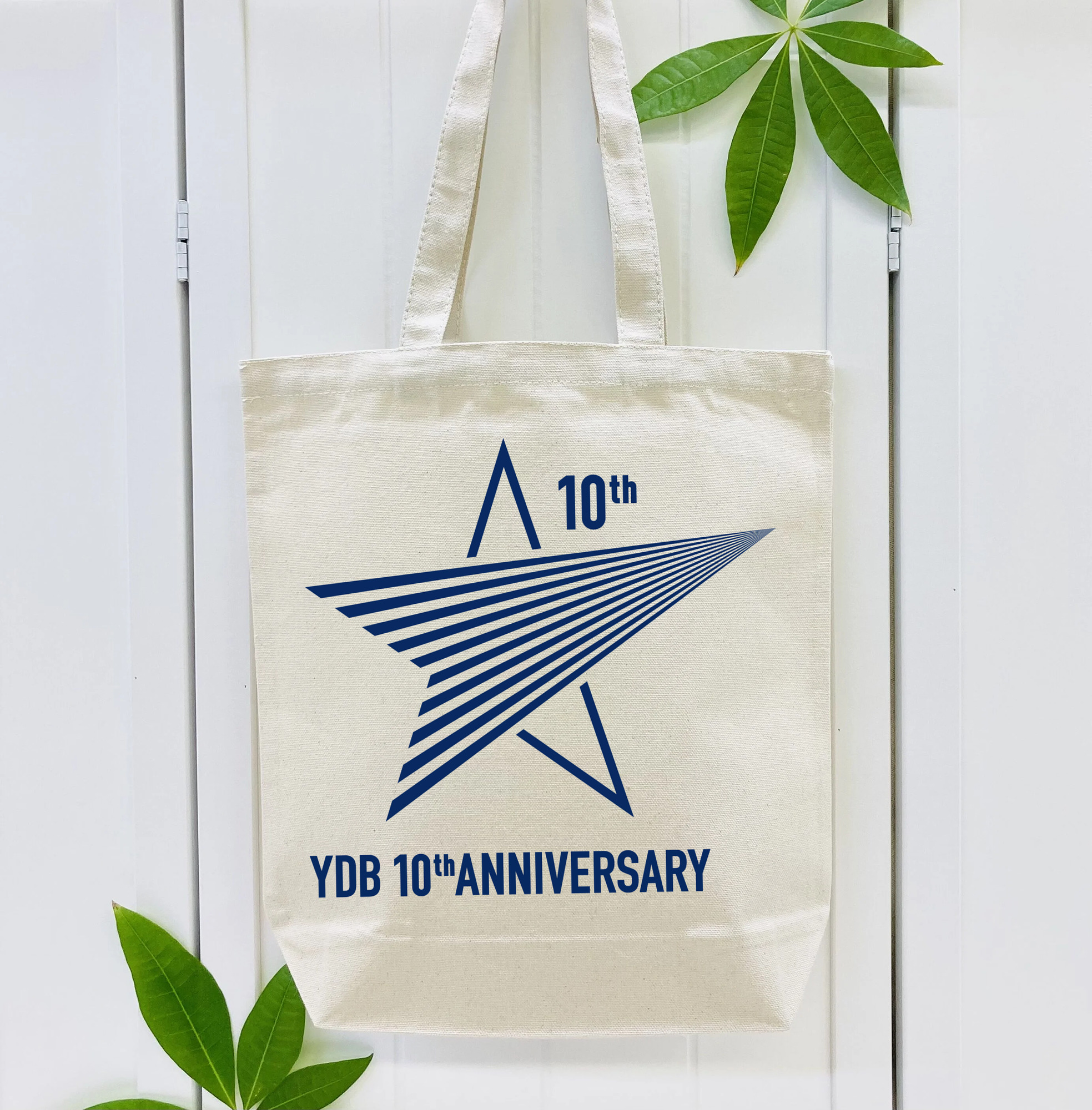 YOKOHAMA DeNA BAYSTARS 10TH ANNIVERSARY EMBLEM Logo