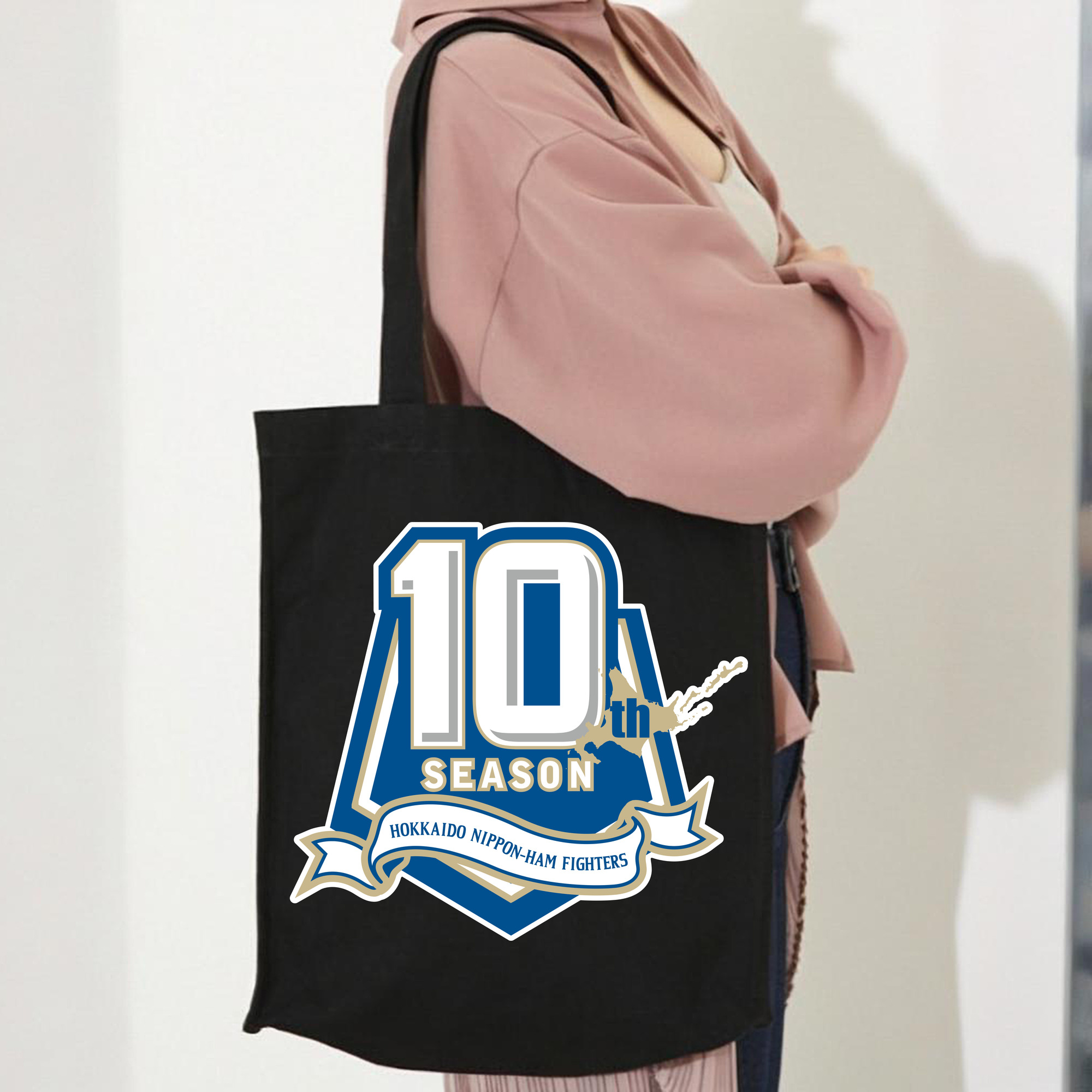 HOKKAIDO NIPPON-HAM FIGHTERS 10TH SEASON ANNIVERSARY Logo