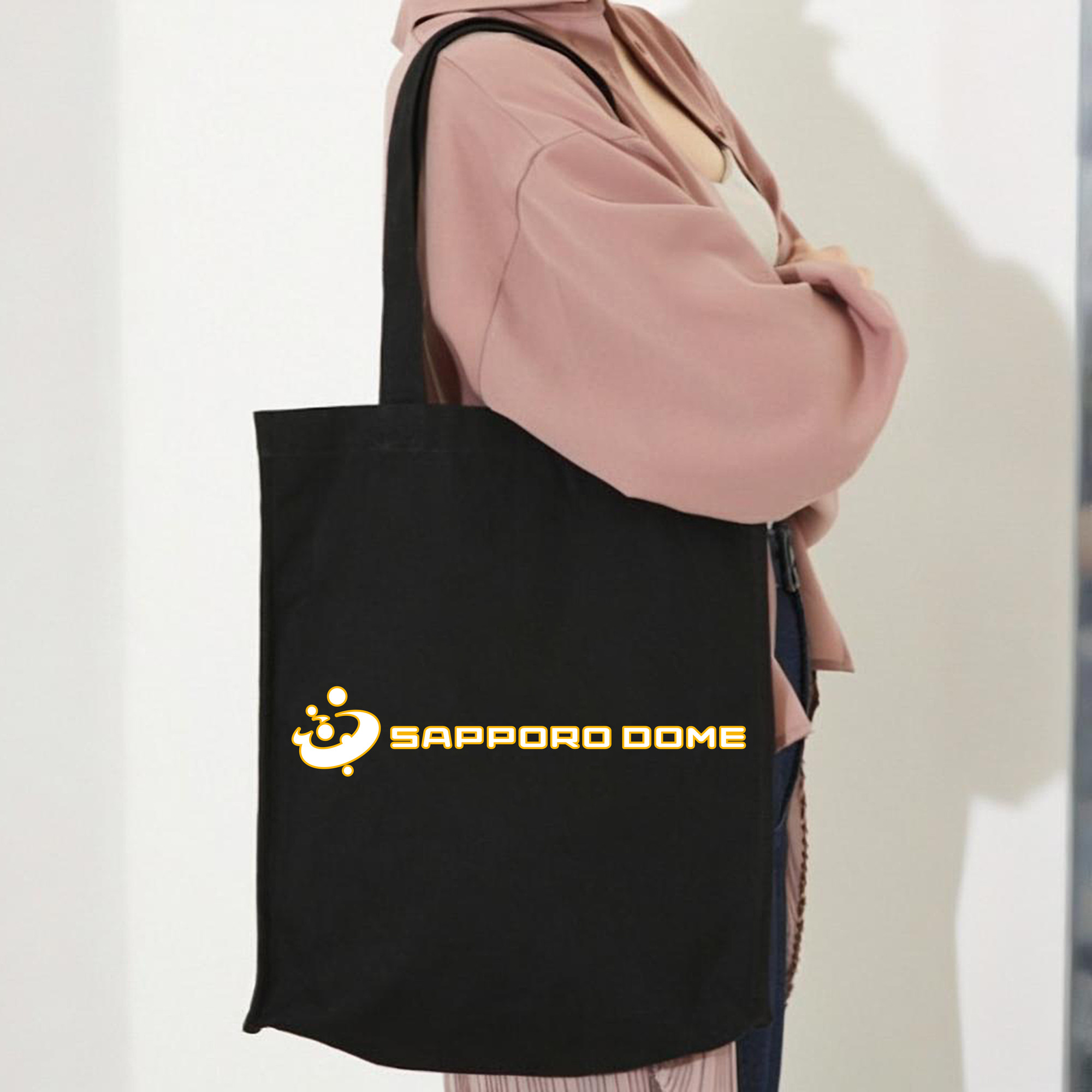 SAPPORO DOME APPLICATION OUTLINE Logo