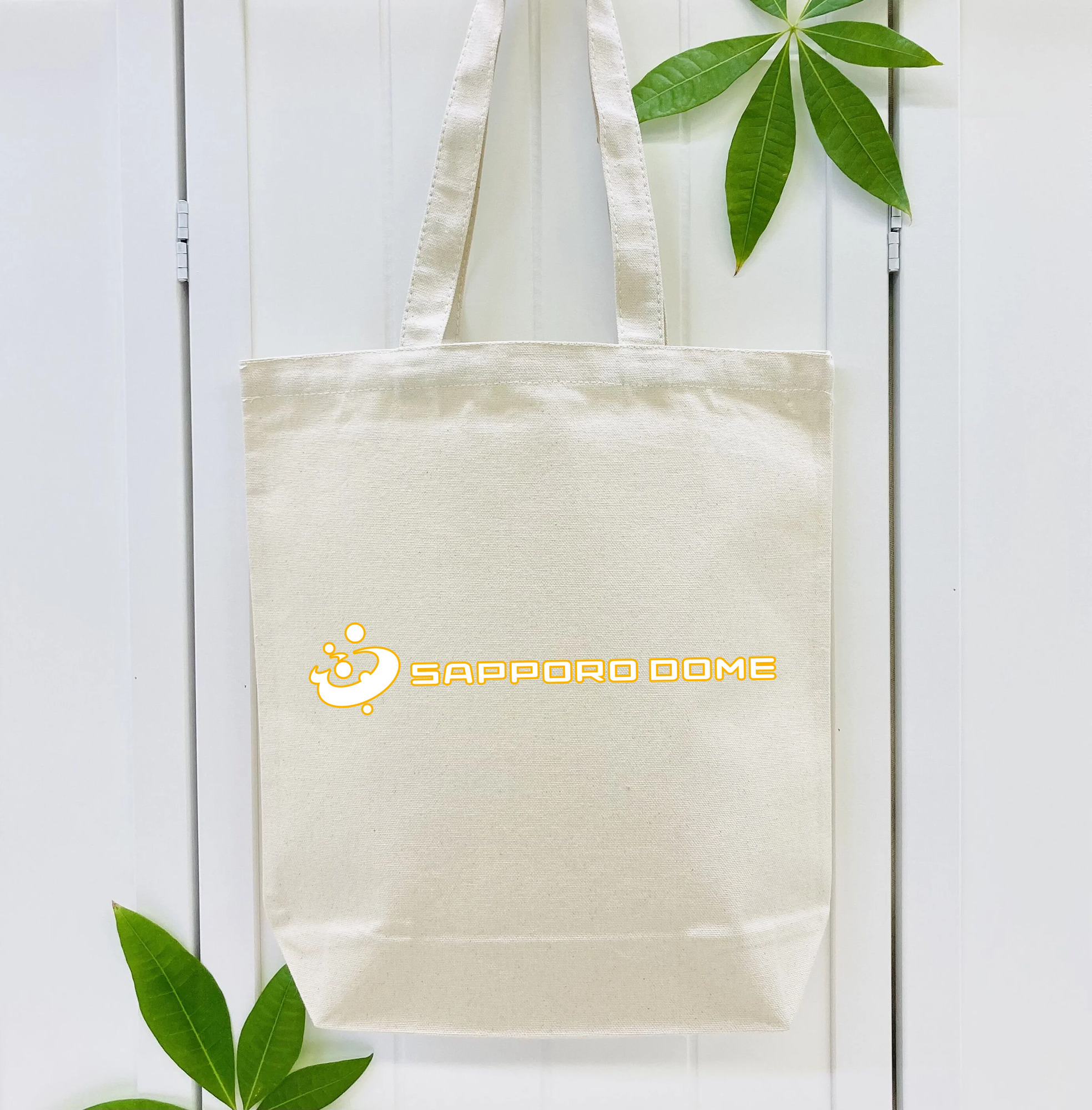 SAPPORO DOME APPLICATION OUTLINE Logo